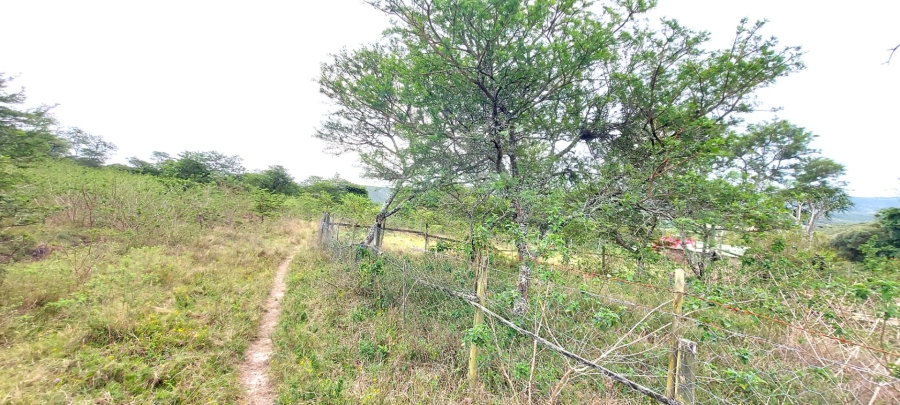 5 Bedroom Property for Sale in Kwelera Eastern Cape